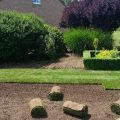 Plantations / Gazon
